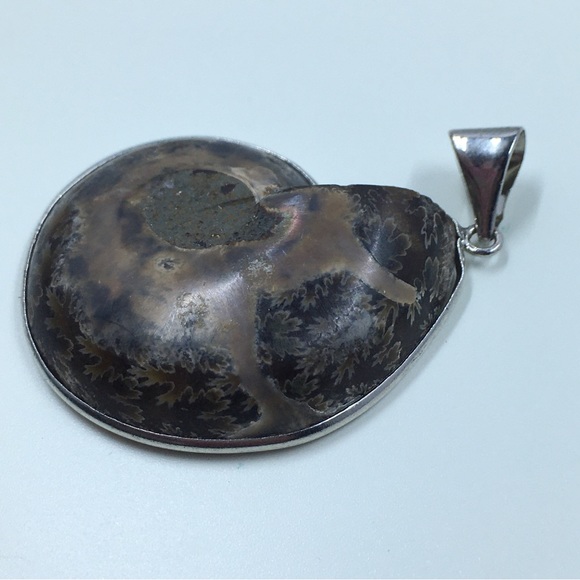 Ammonite Fossil Pendant - Picture 2 of 5
